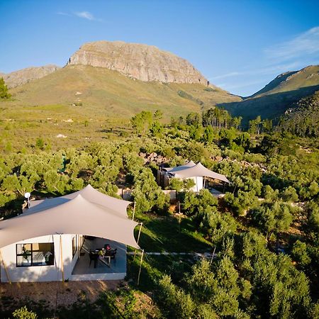 Wagyu Mountain Lodge Paarl Buitenkant foto