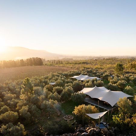 Wagyu Mountain Lodge Paarl Buitenkant foto
