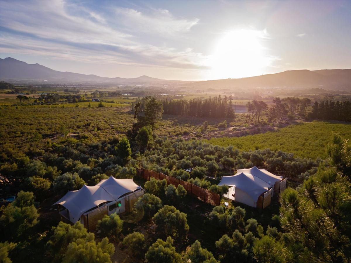 Wagyu Mountain Lodge Paarl Buitenkant foto