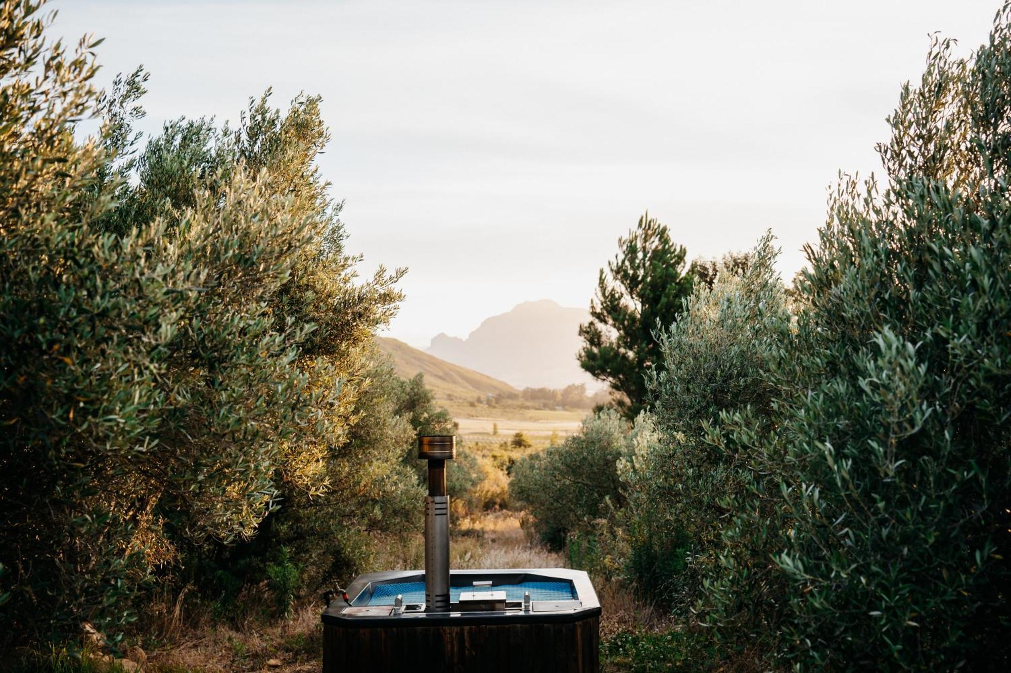 Wagyu Mountain Lodge Paarl Buitenkant foto