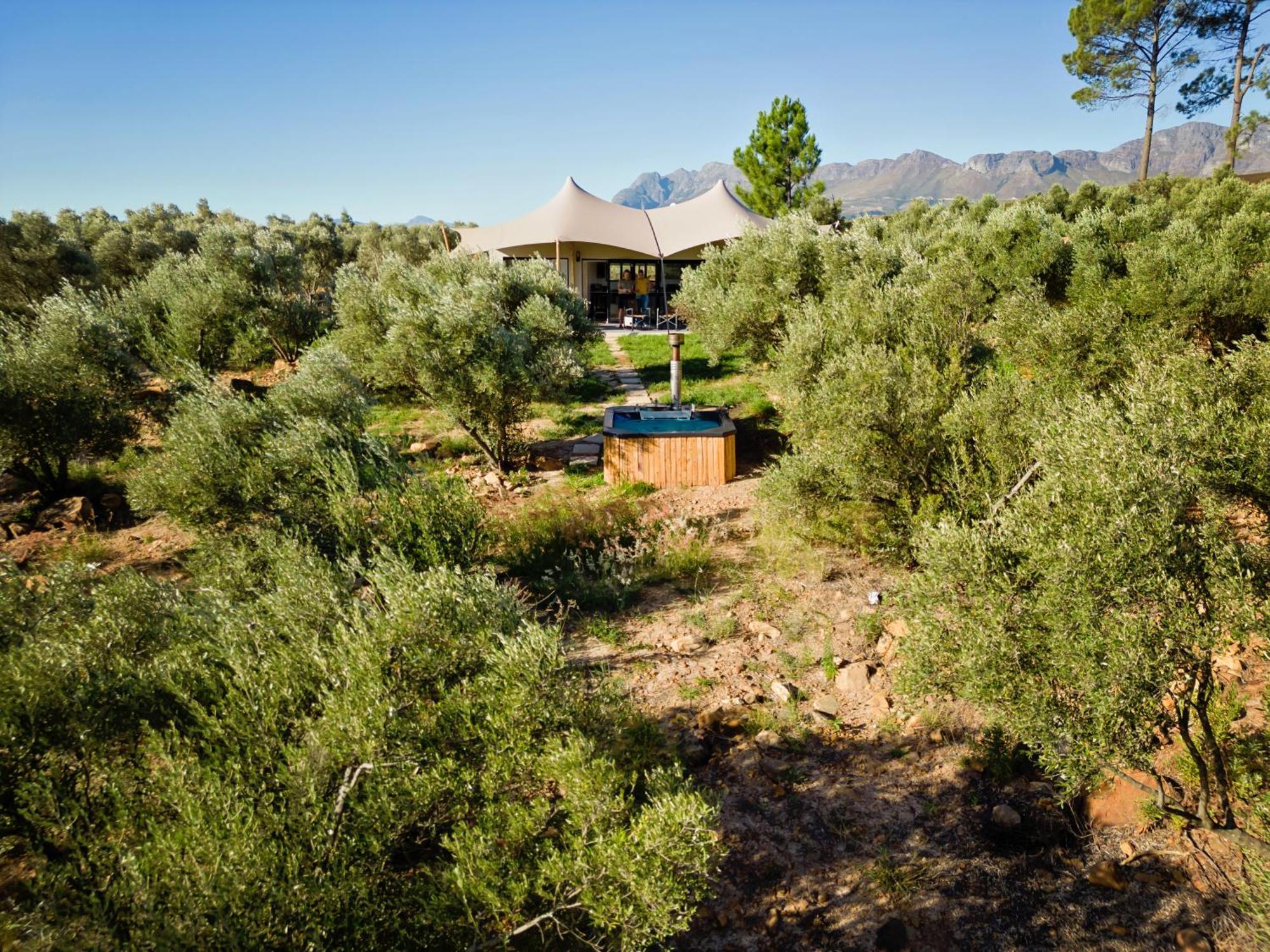 Wagyu Mountain Lodge Paarl Buitenkant foto