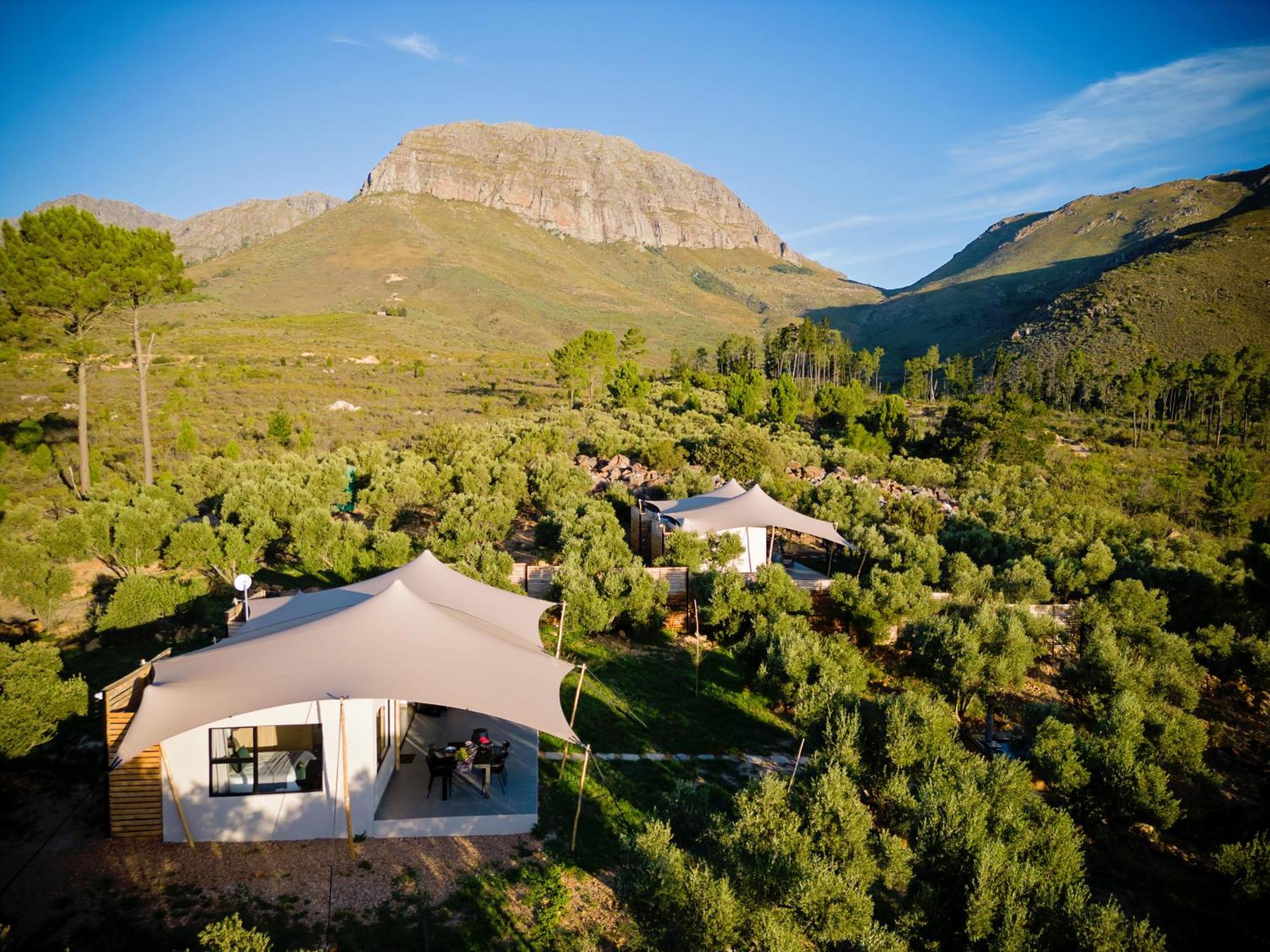 Wagyu Mountain Lodge Paarl Buitenkant foto