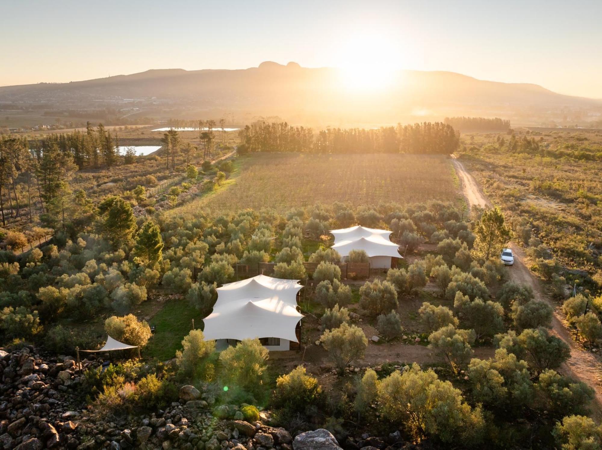 Wagyu Mountain Lodge Paarl Buitenkant foto