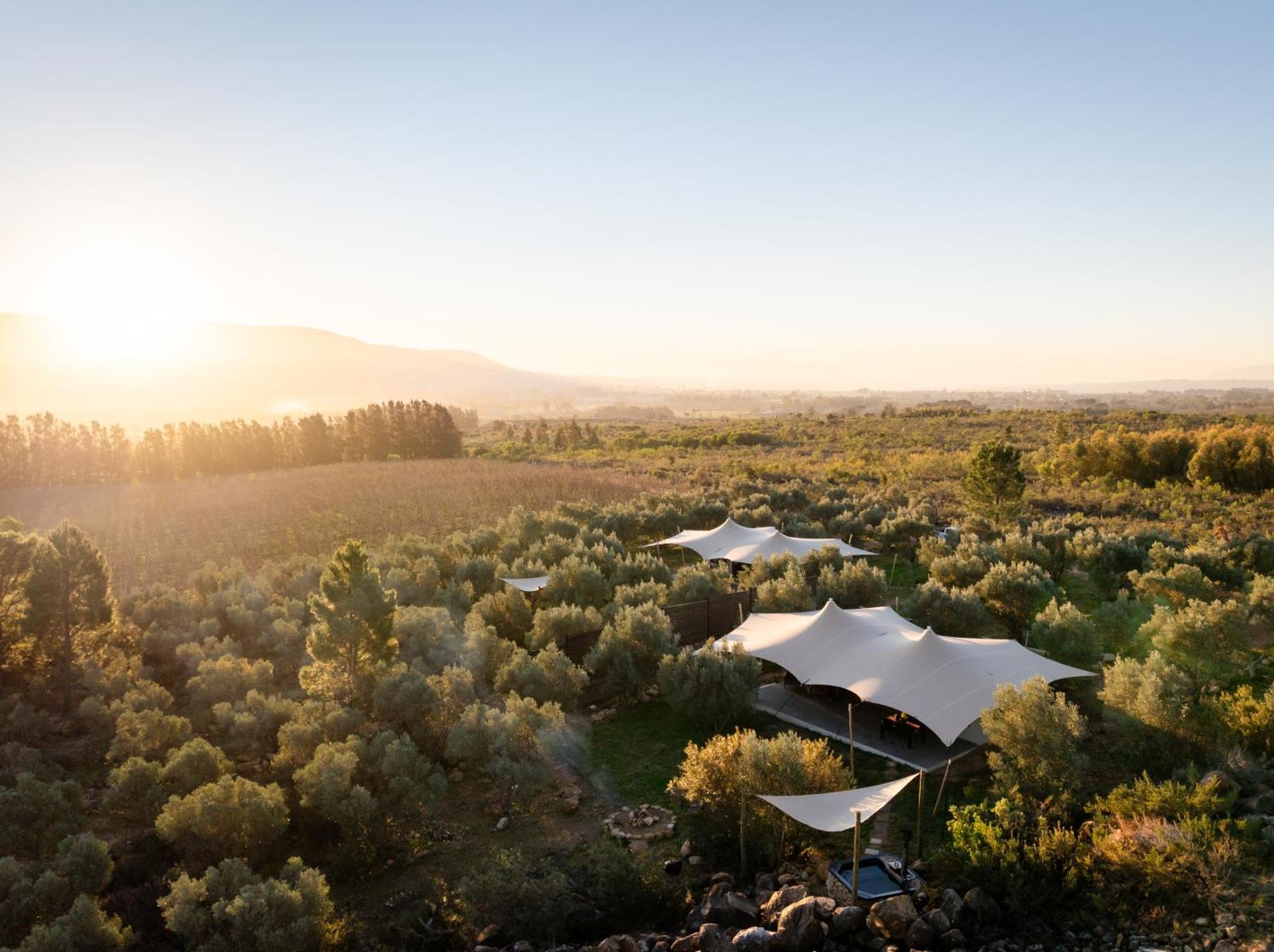 Wagyu Mountain Lodge Paarl Buitenkant foto